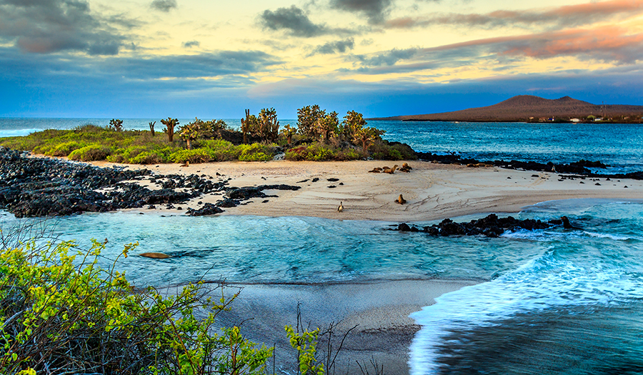 galapagos