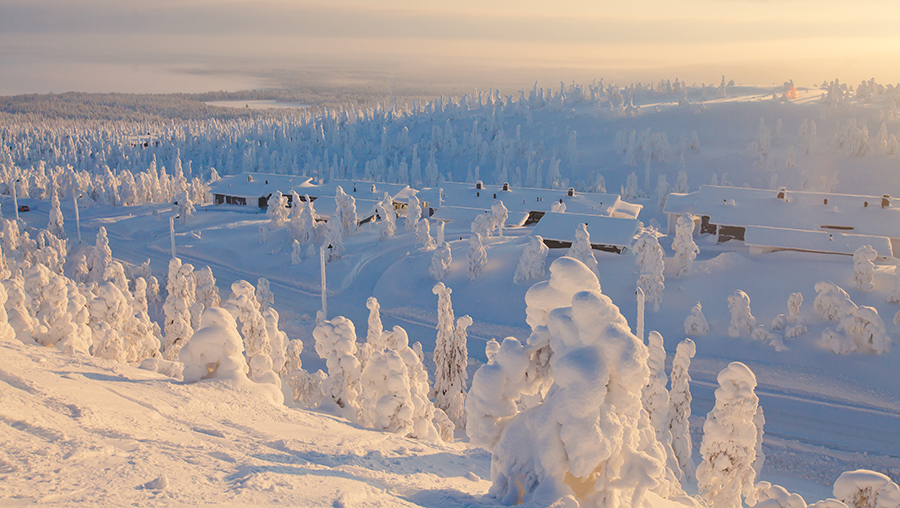 Fjällen